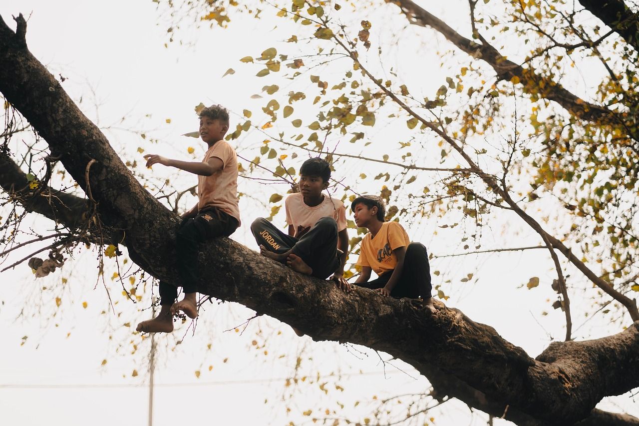 Three children sitting on a large tree branch above a street in Nepal