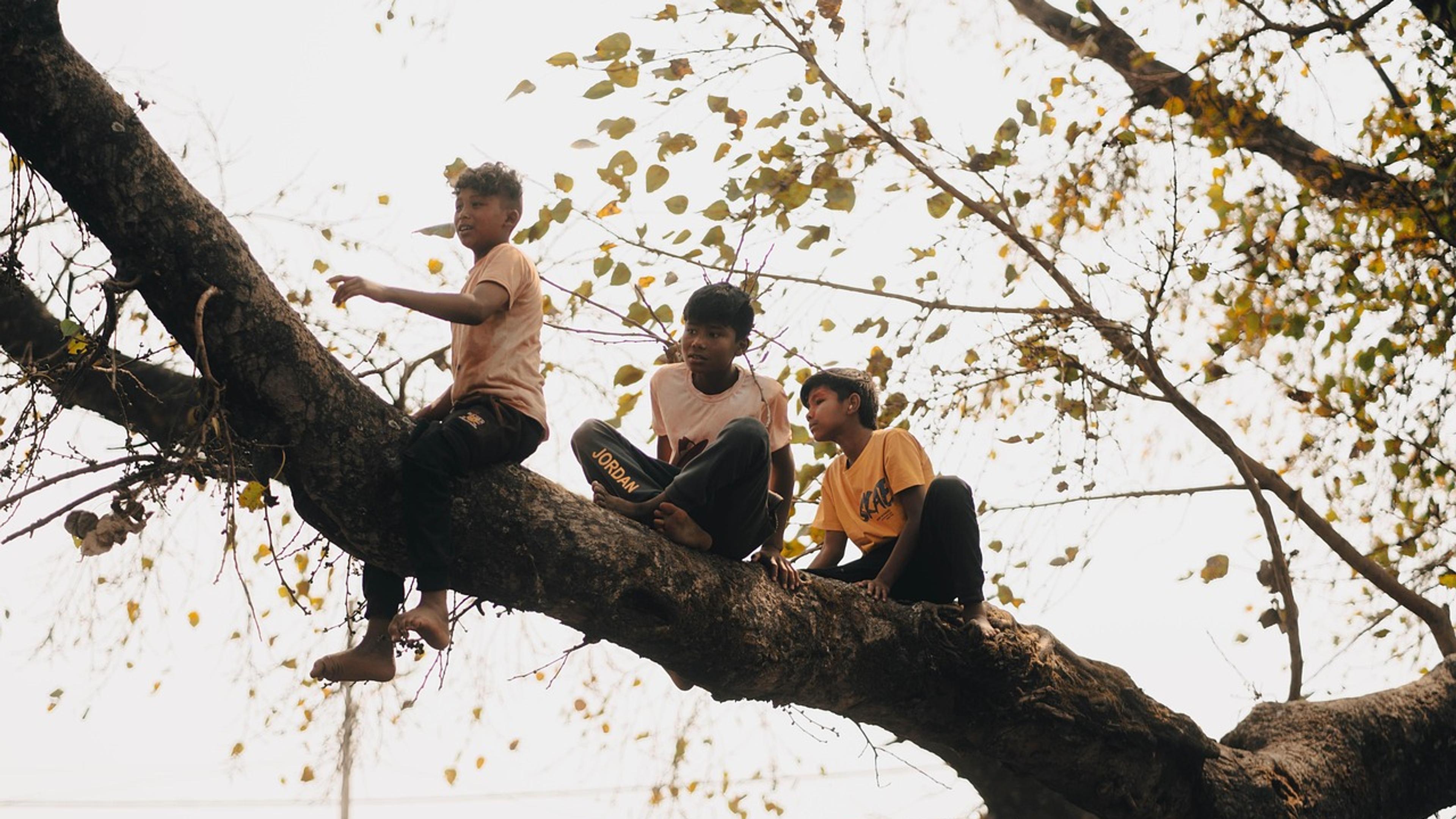 Three children sitting on a large tree branch above a street in Nepal