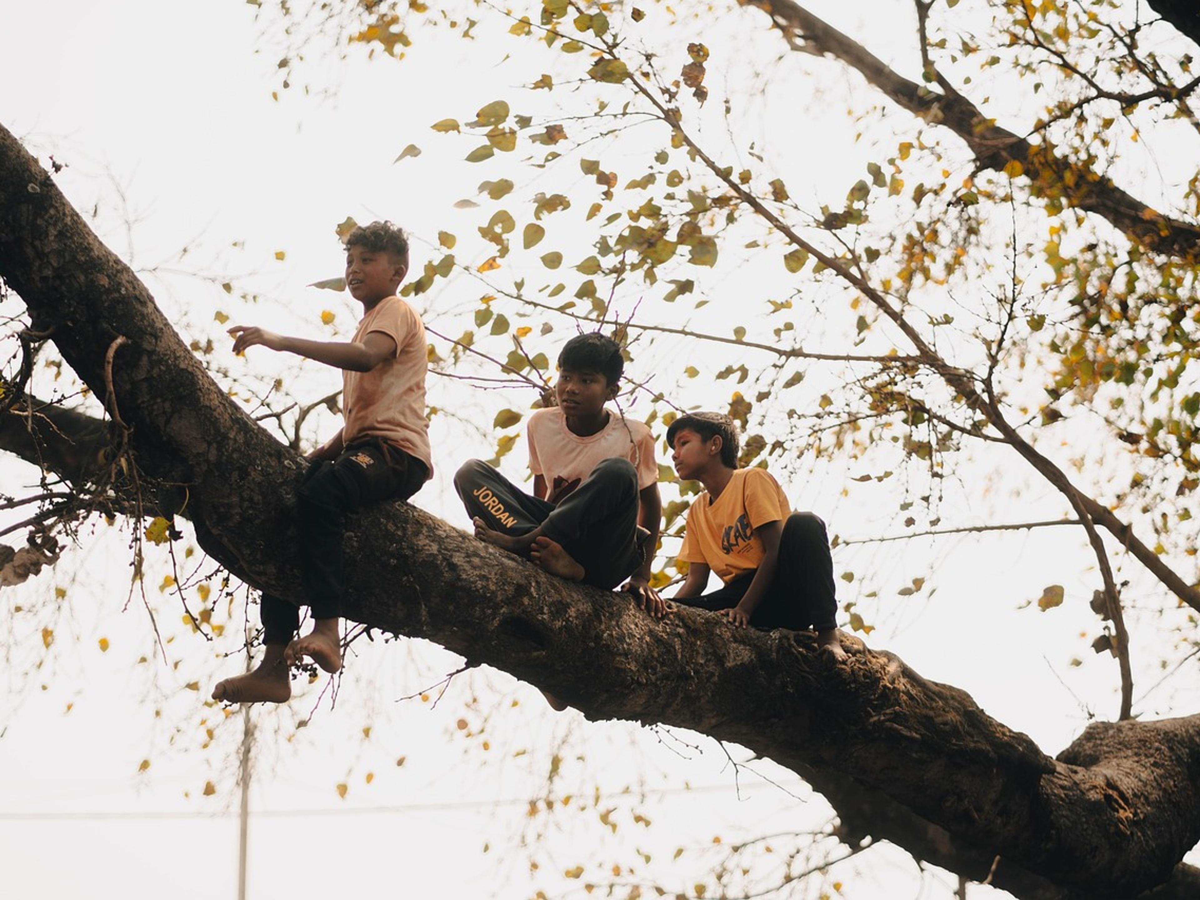 Three children sitting on a large tree branch above a street in Nepal