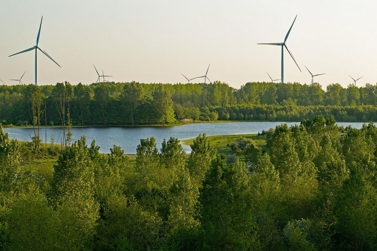 Wind turbines rising above a forest and a lake