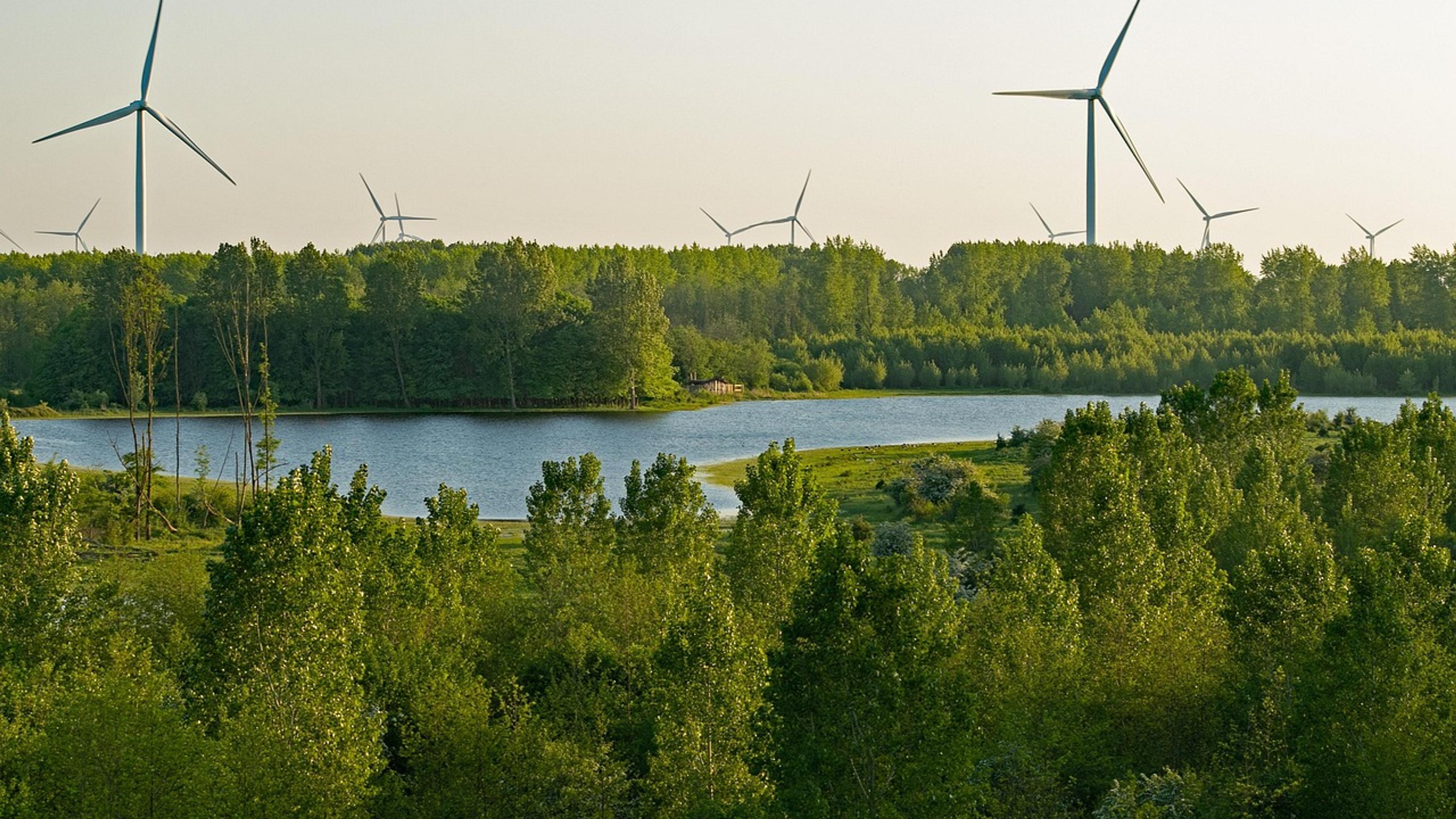 Wind turbines rising above a forest and a lake