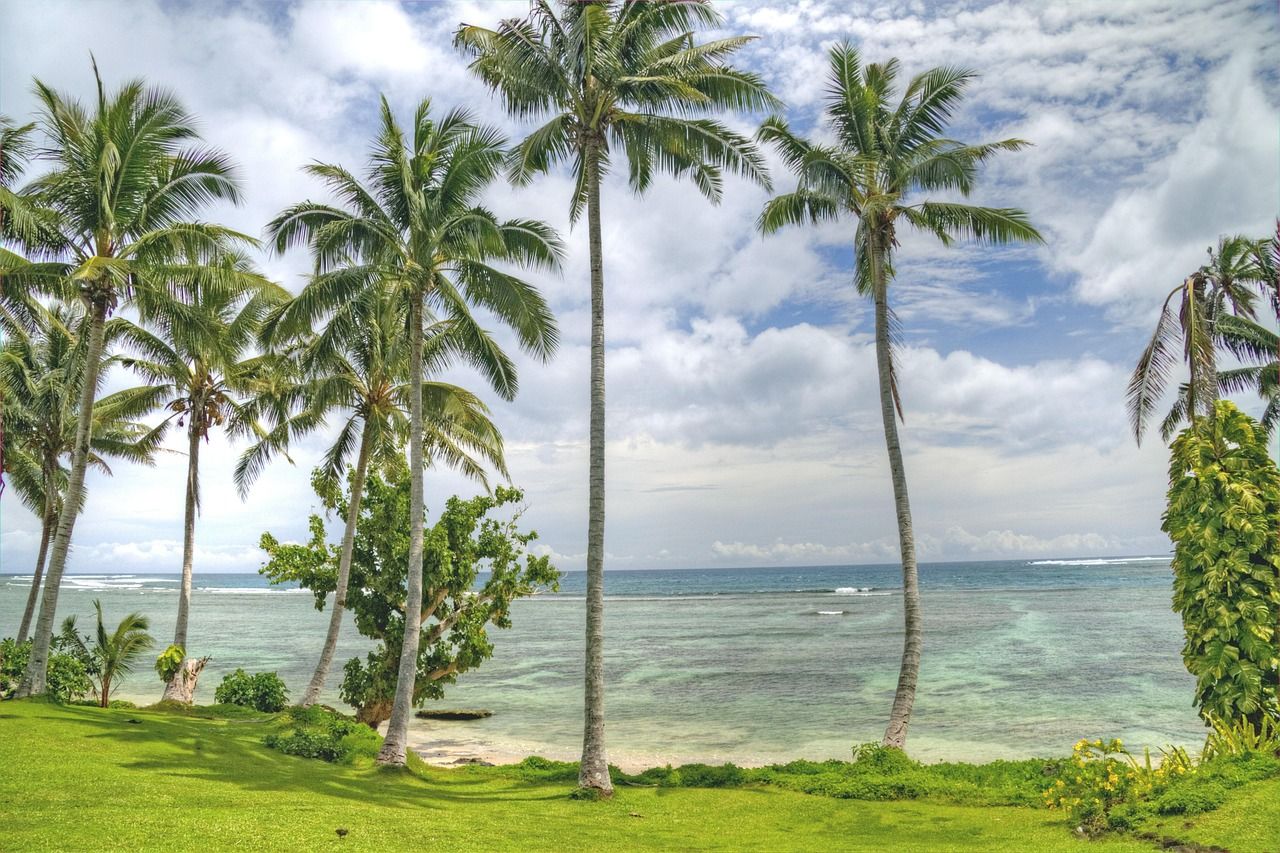 Palm trees on a beach in Samoa