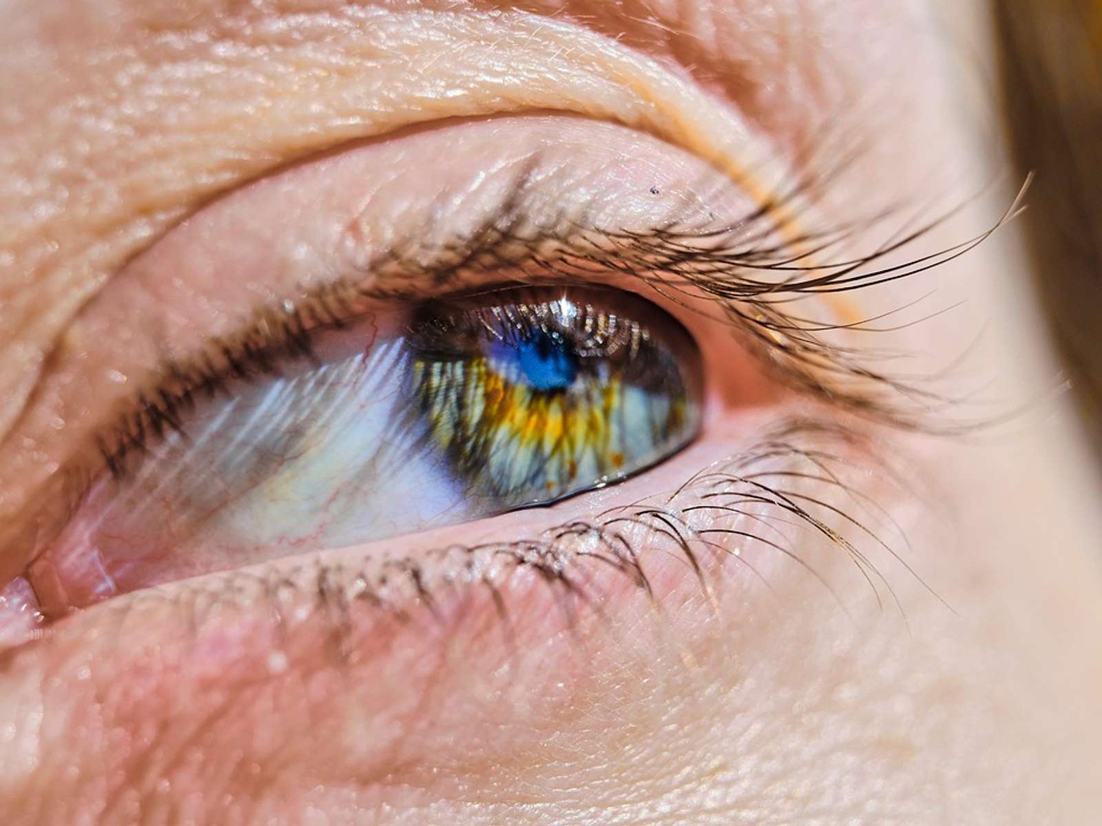 Extreme close-up of a human blue eye with eyelashes