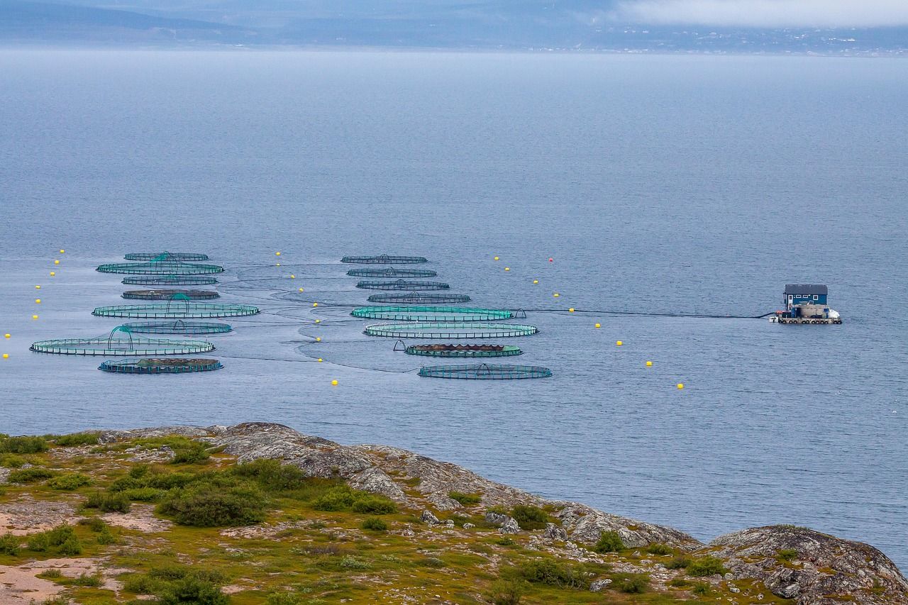 Fish farm pens along the Norwegian coast