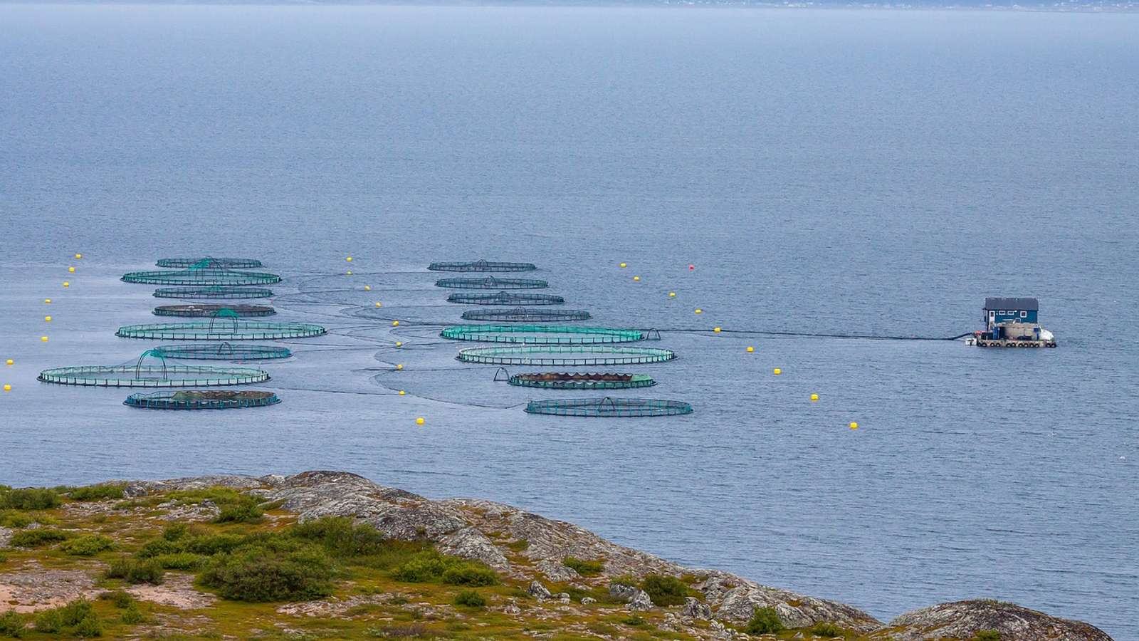 Fish farm pens along the Norwegian coast