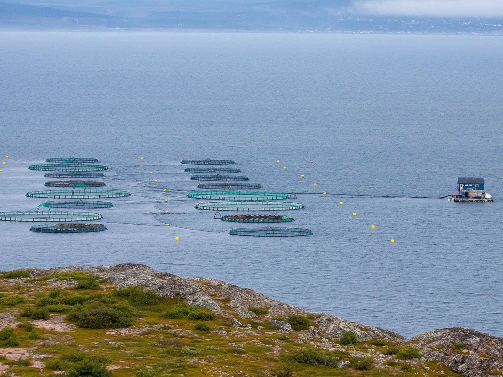 Fish farm pens along the Norwegian coast