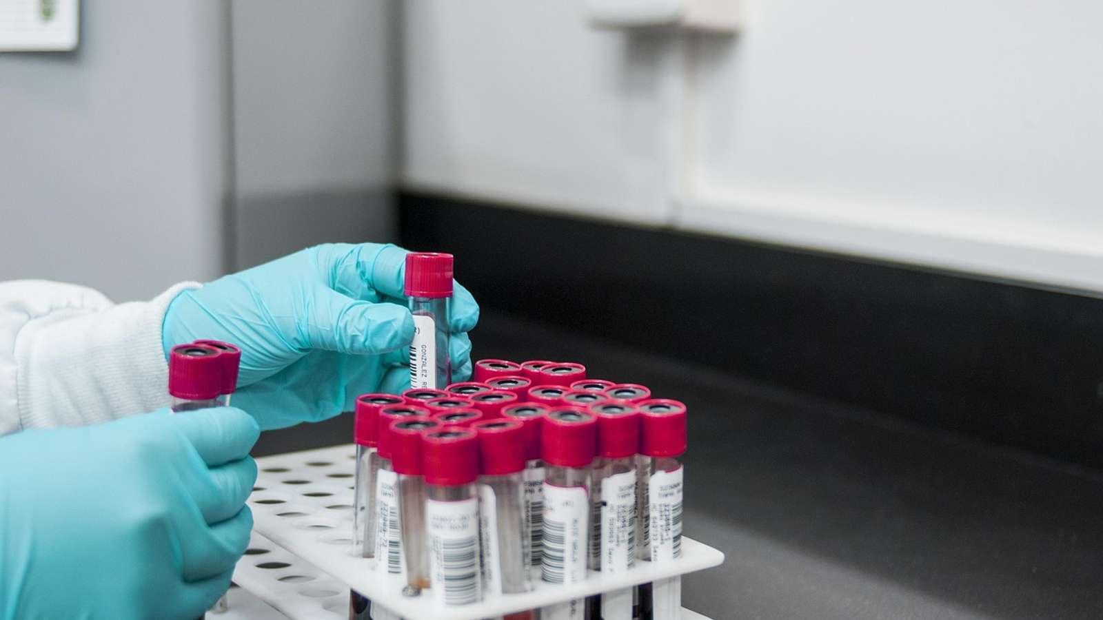 A lab technician in blue gloves handling a rack of sample tubes