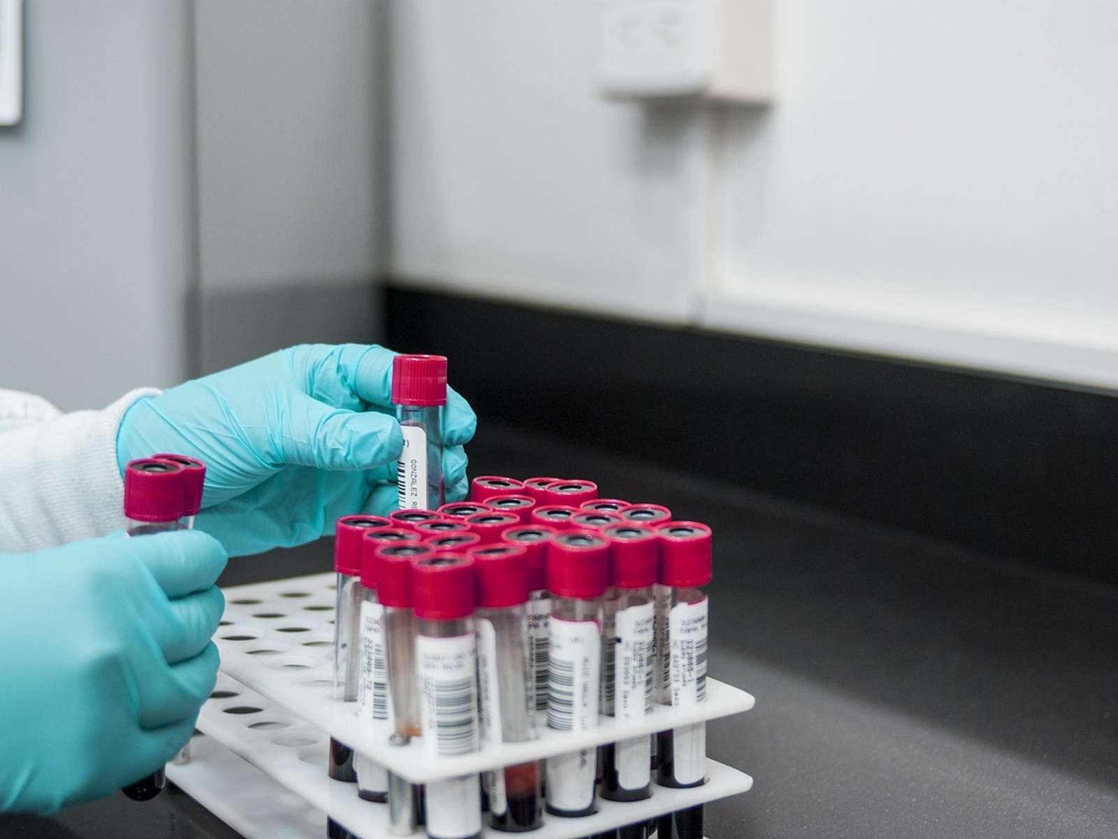 A lab technician in blue gloves handling a rack of sample tubes