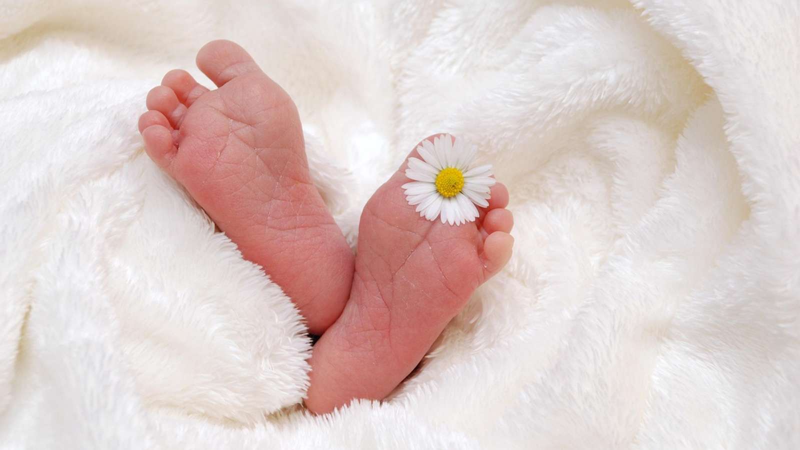 A newborn baby's feet