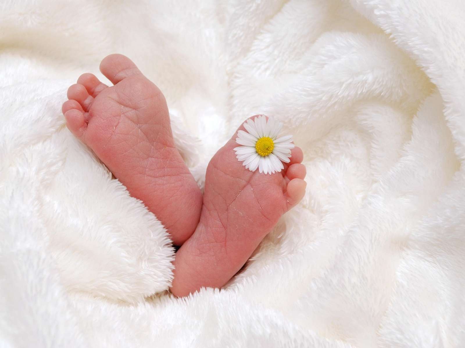A newborn baby's feet