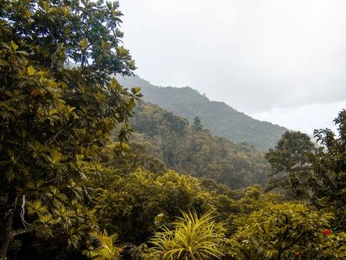 A mist-covered mountain rising above dense tropical forest, representative of the Annamite Range habitat protected by the new park.