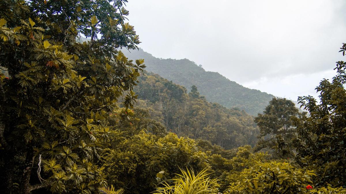 A mist-covered mountain rising above dense tropical forest, representative of the Annamite Range habitat protected by the new park.