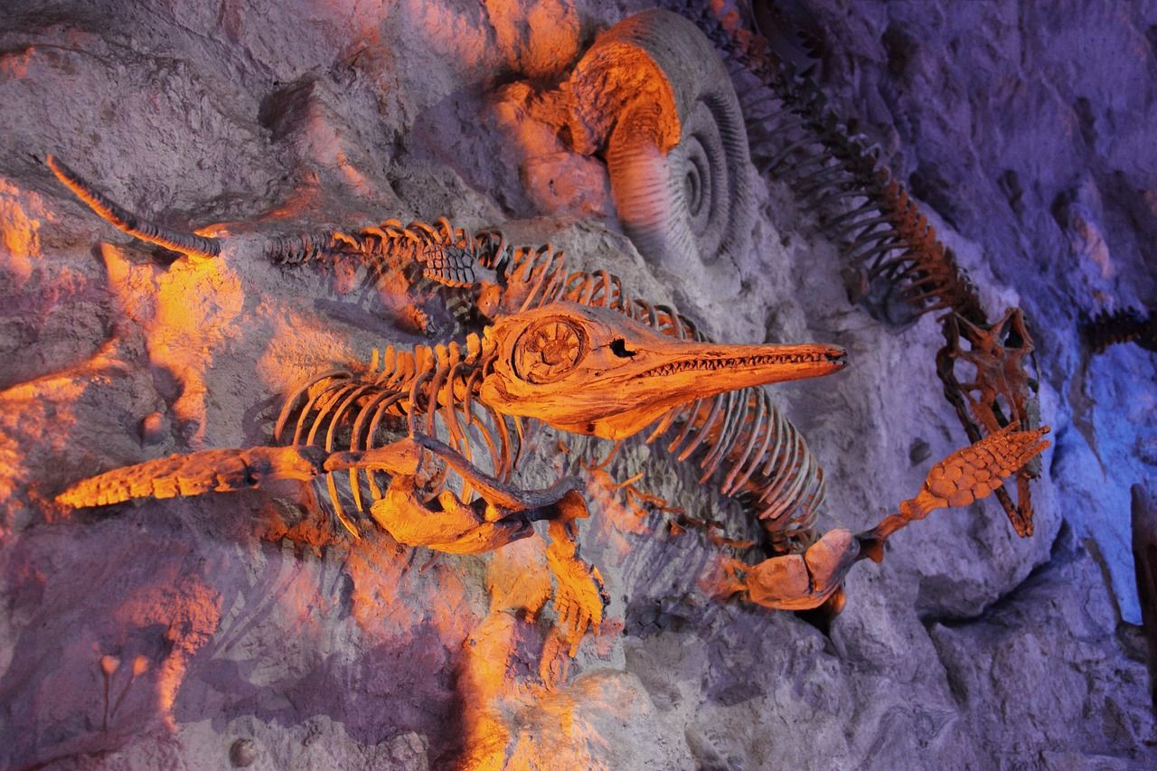 Fossilized marine animals preserved in stone