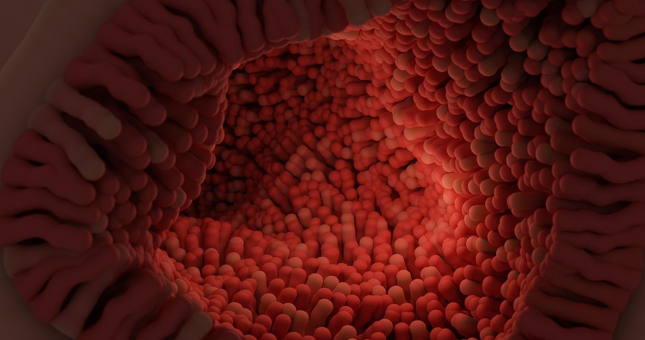 An illustration of intestinal villi