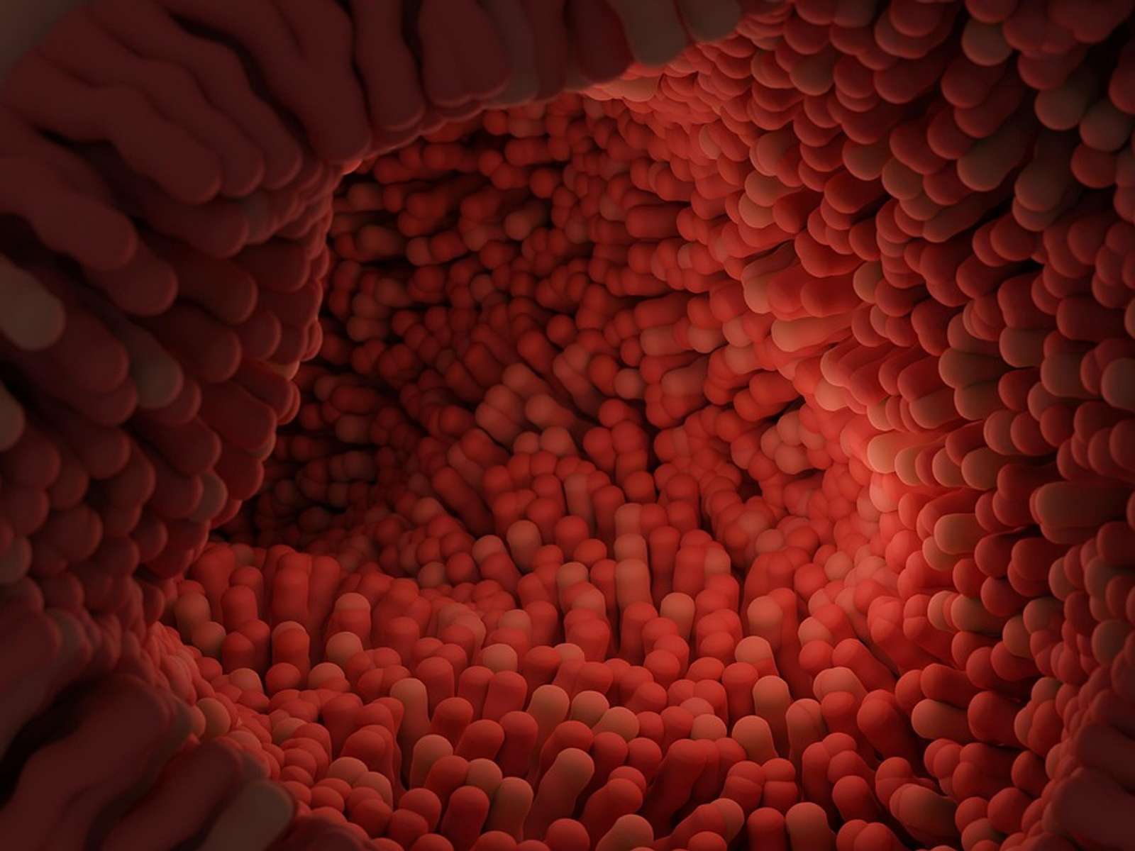 An illustration of intestinal villi