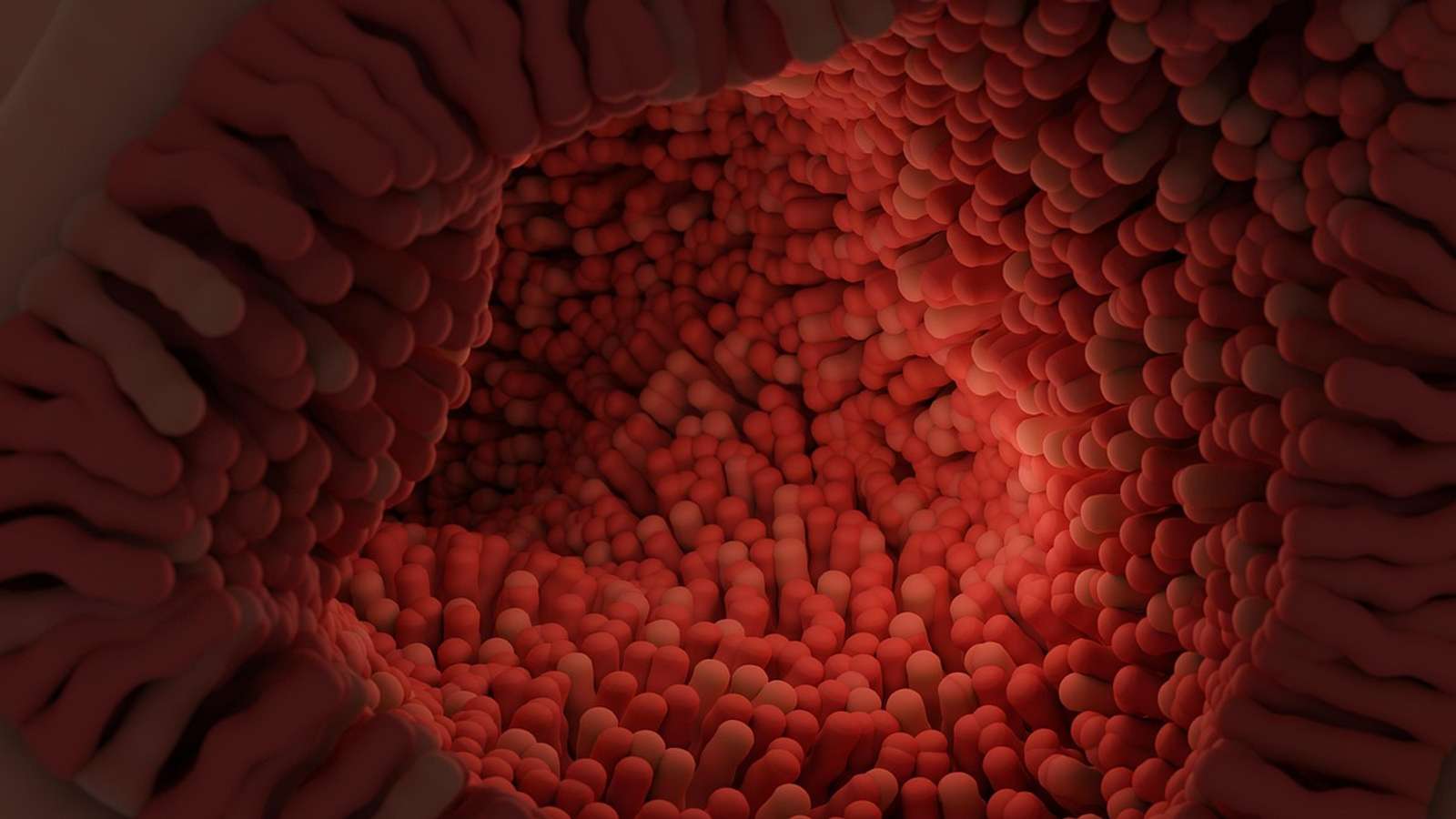 An illustration of intestinal villi
