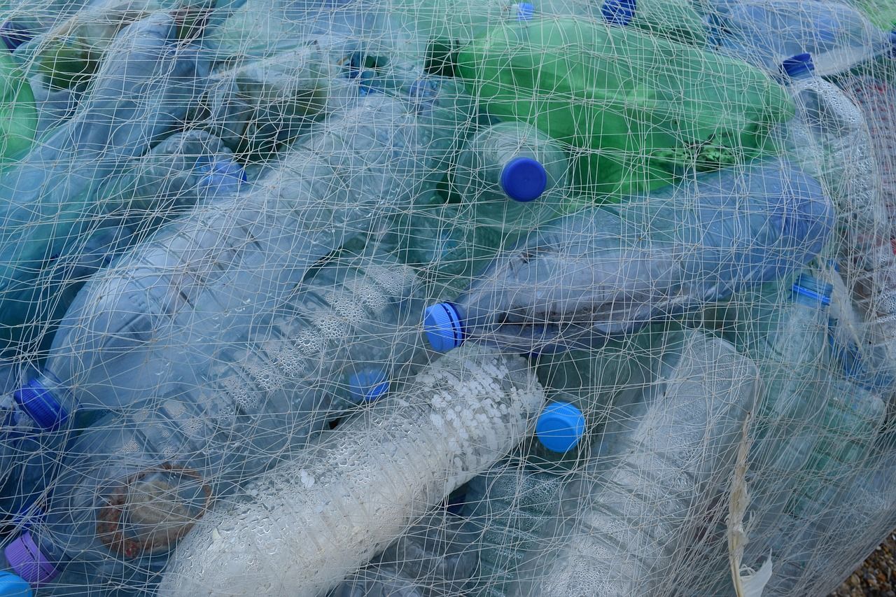 Plastic bottles collected in a fishing net