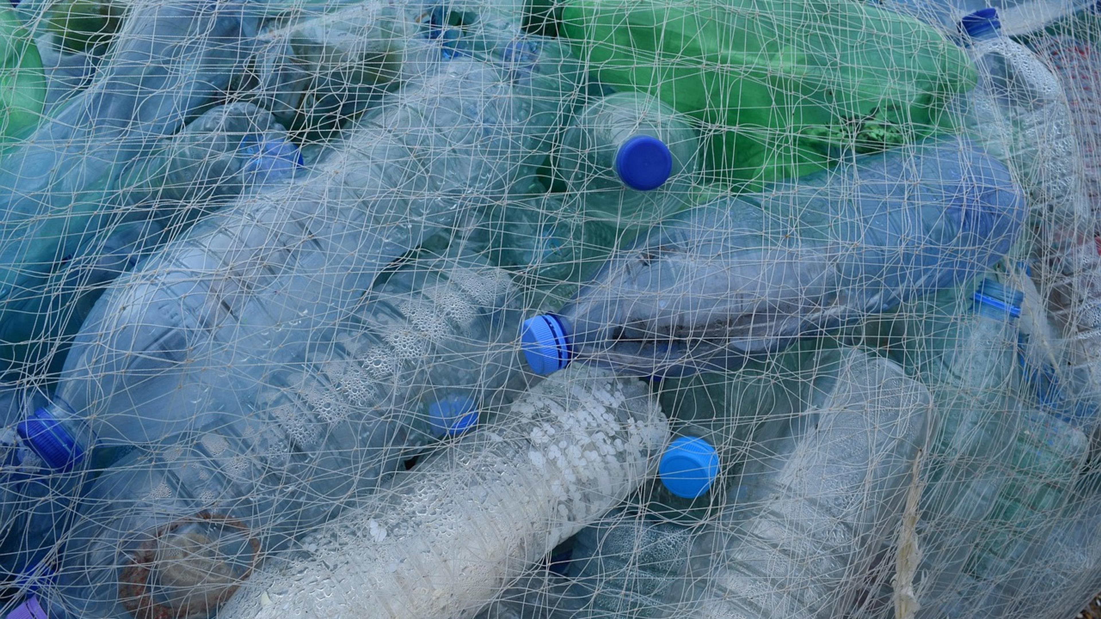Plastic bottles collected in a fishing net