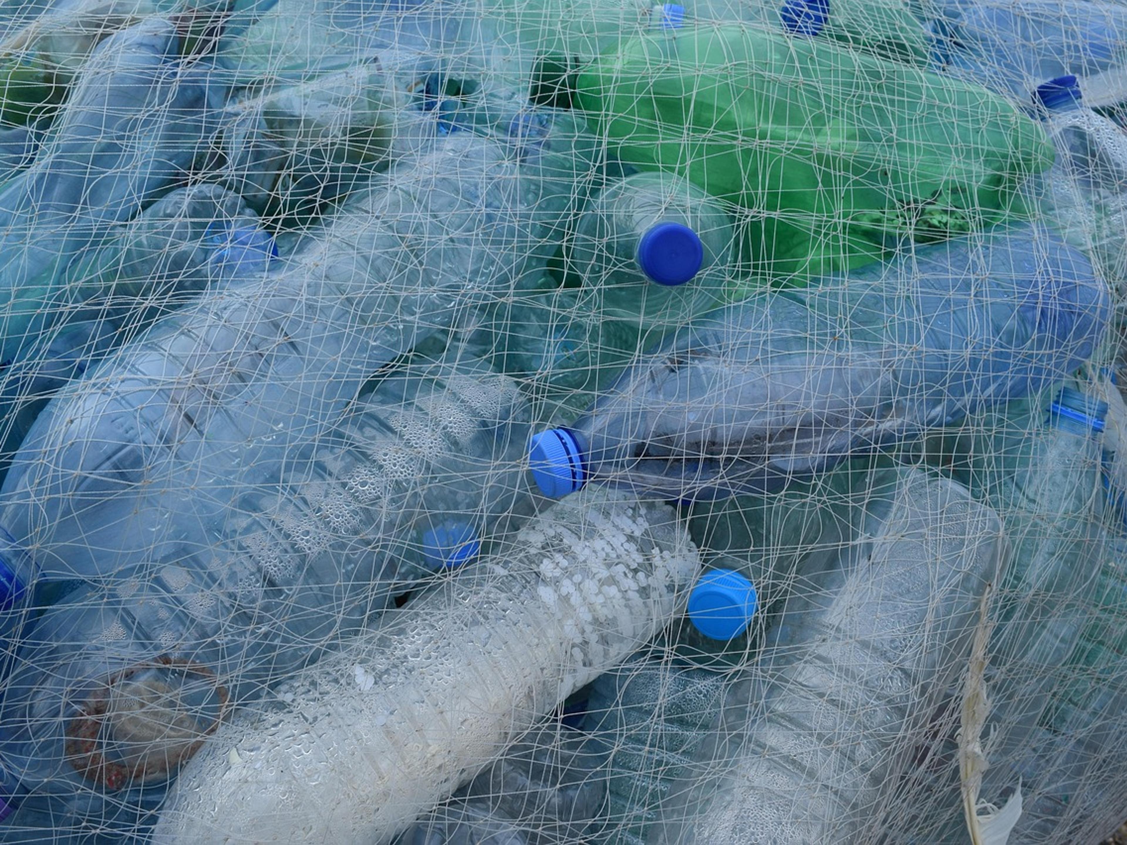 Plastic bottles collected in a fishing net