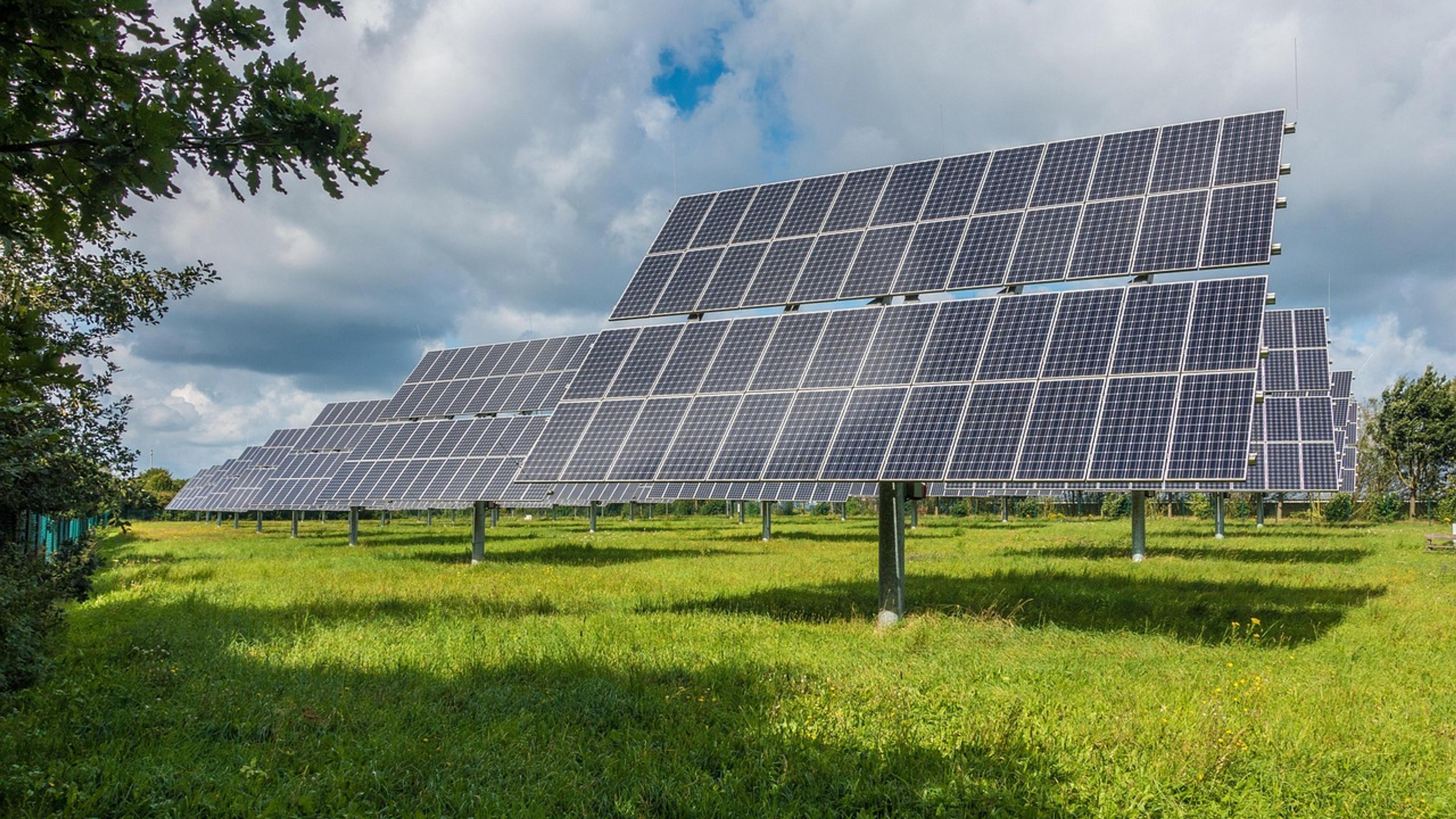Large field of solar panels under a bright sky