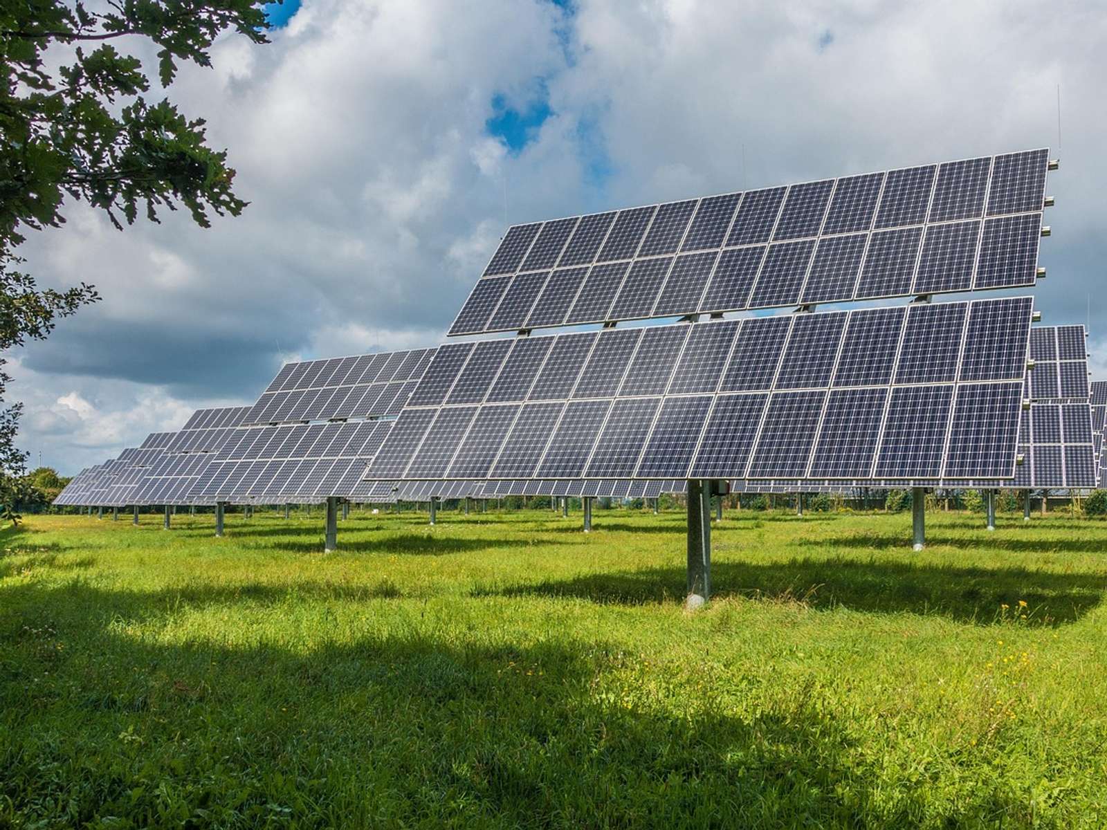 Large field of solar panels under a bright sky