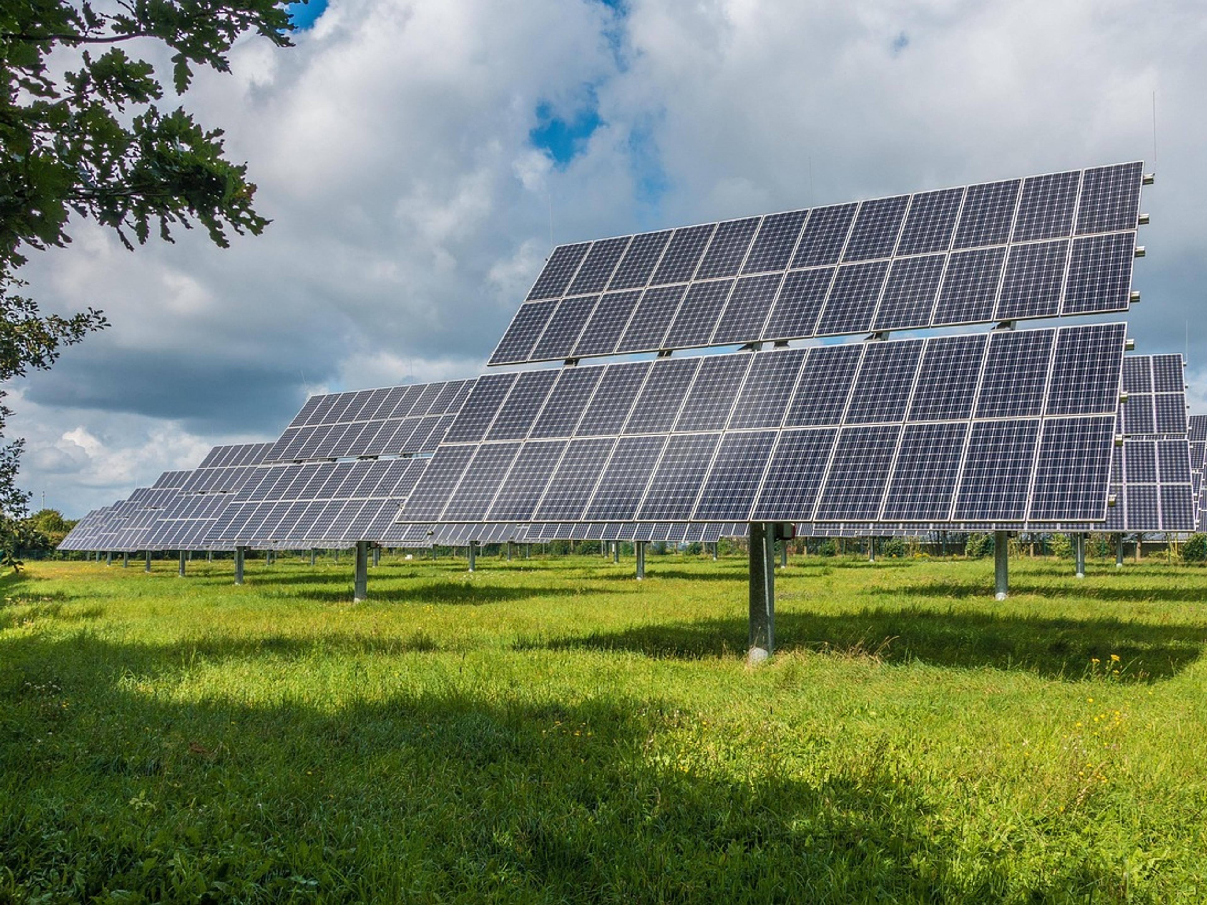 Large field of solar panels under a bright sky