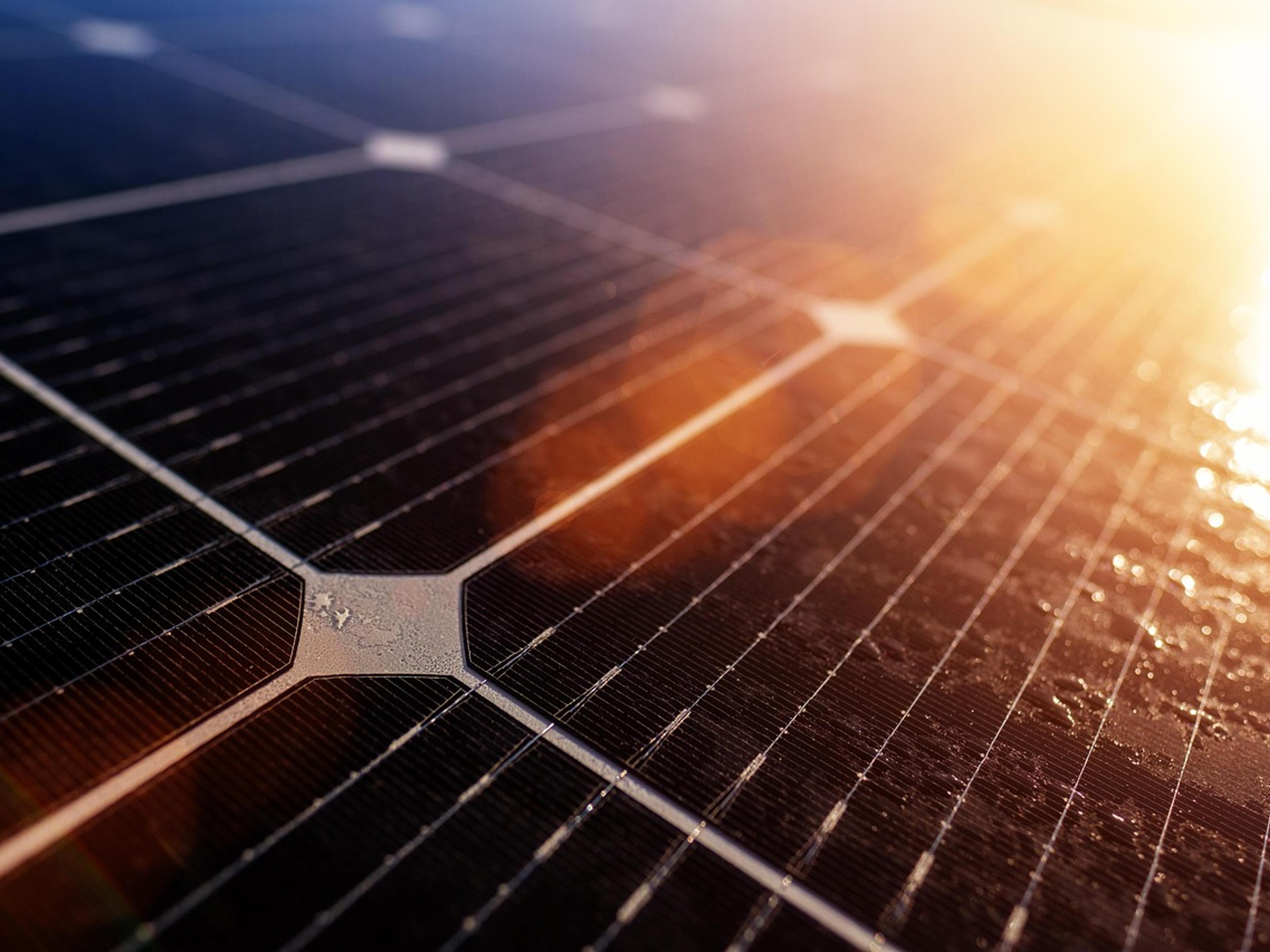 Close-up of solar panels glowing in sunlight