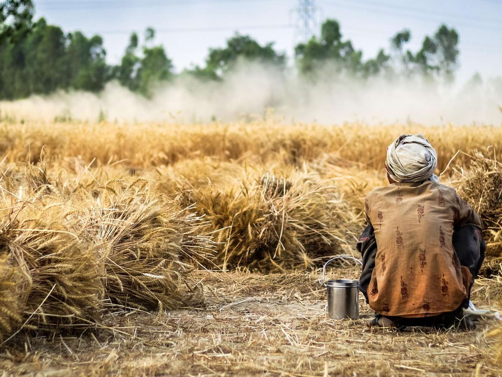 A farmer in a headscarf sits among bundles of harvested wheat while dust rises from a field behind