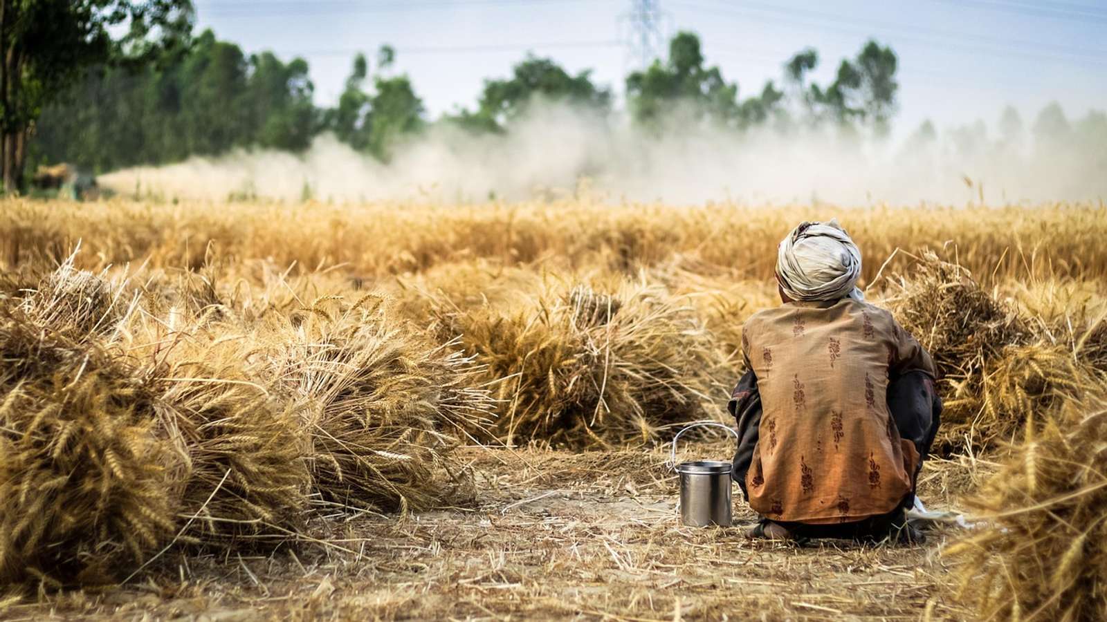 A farmer in a headscarf sits among bundles of harvested wheat while dust rises from a field behind