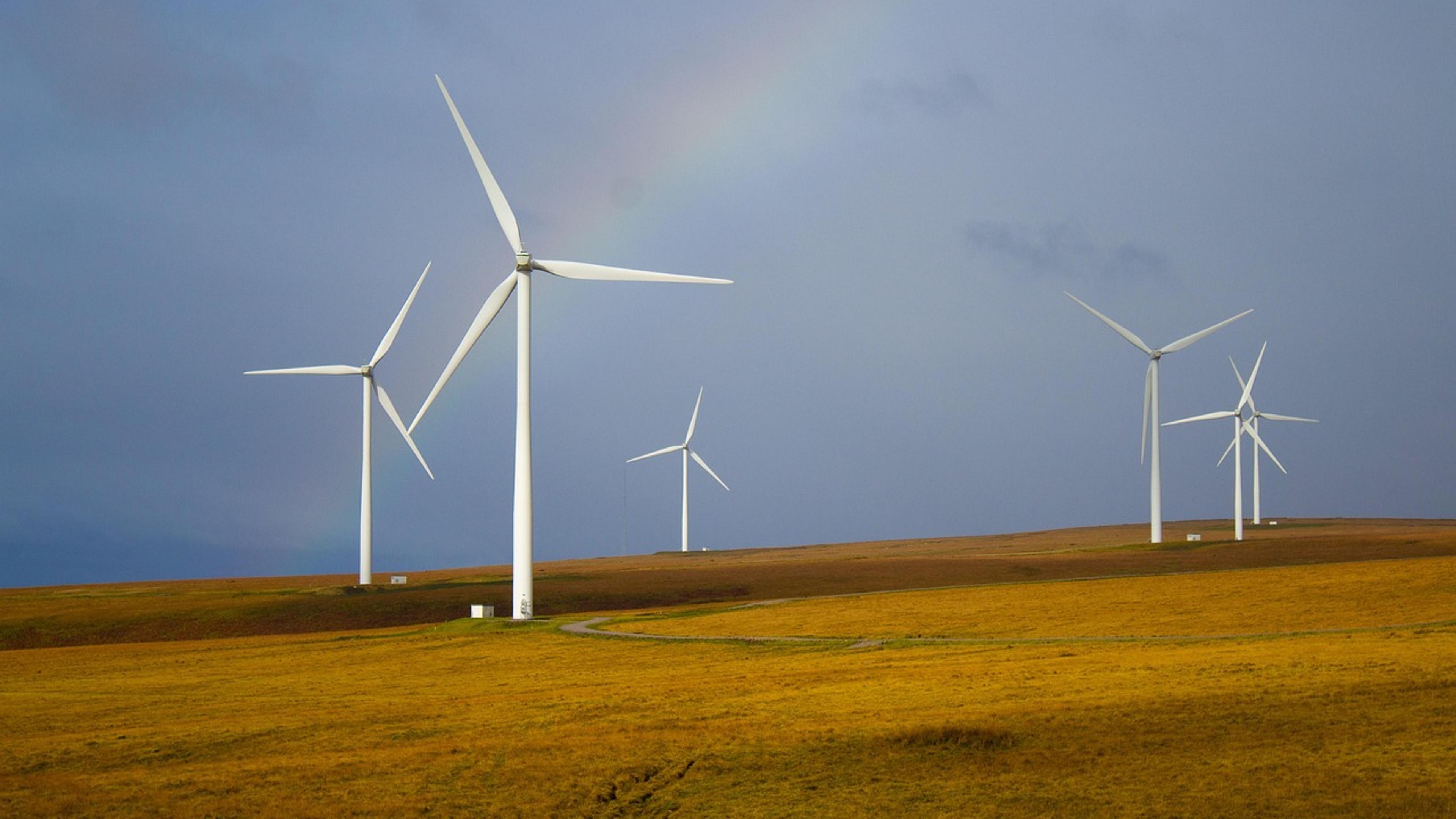 Wind turbines standing in a grassy field