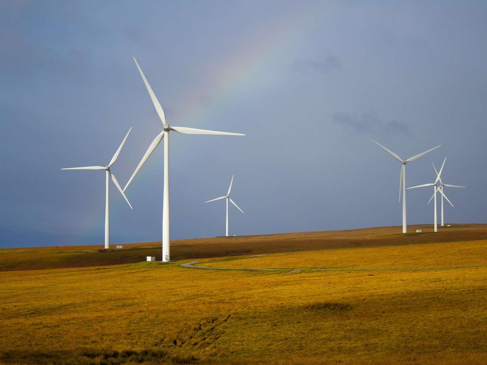 Wind turbines standing in a grassy field