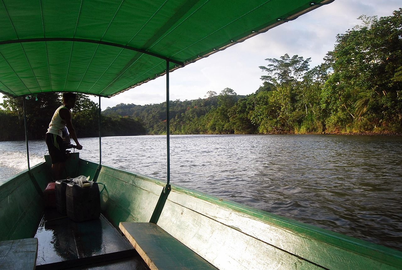 View from a covered wooden boat on a river through the Ecuadorian Amazon rainforest