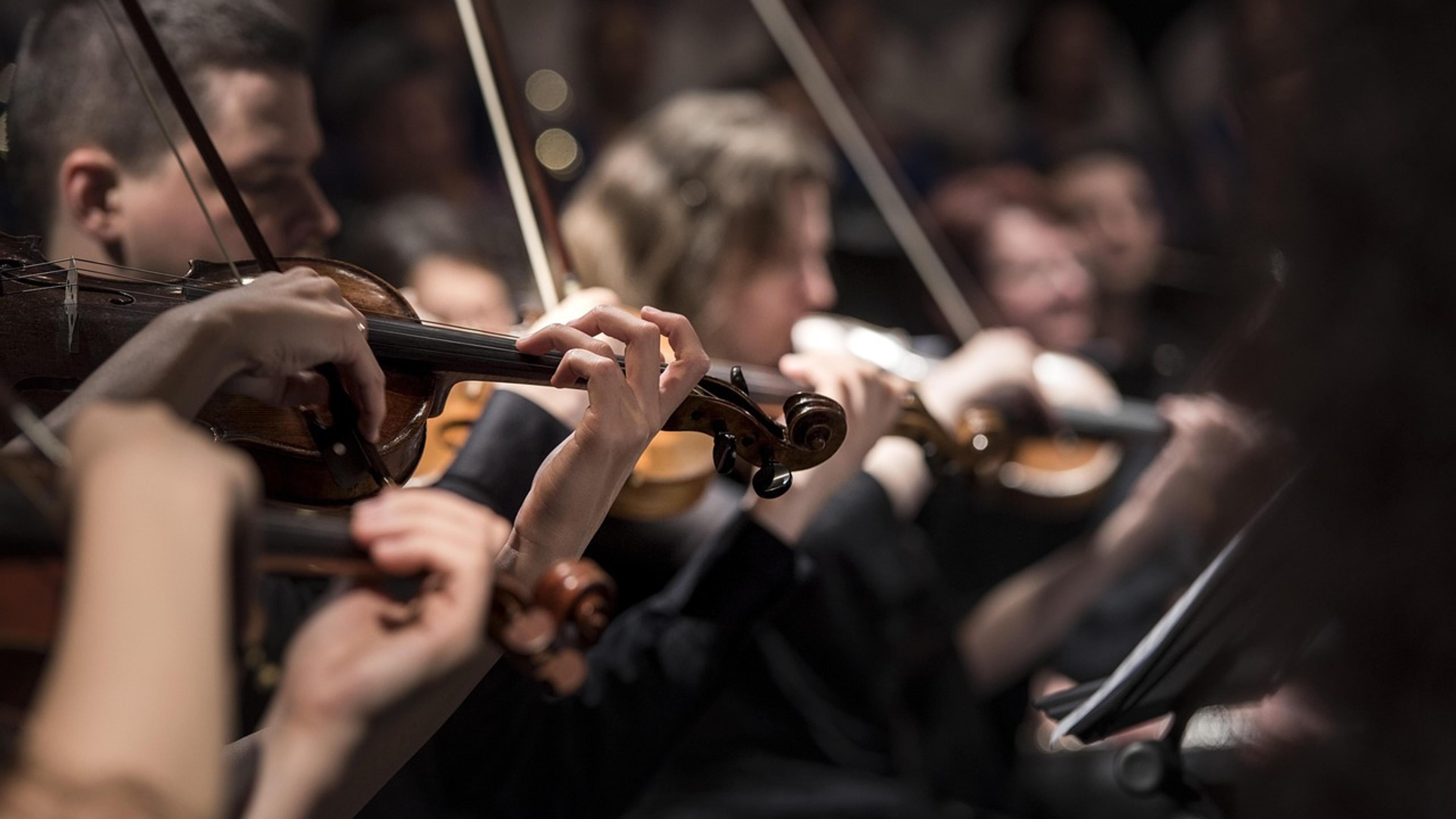 Violinists in black concert dress playing in the string section of an orchestra