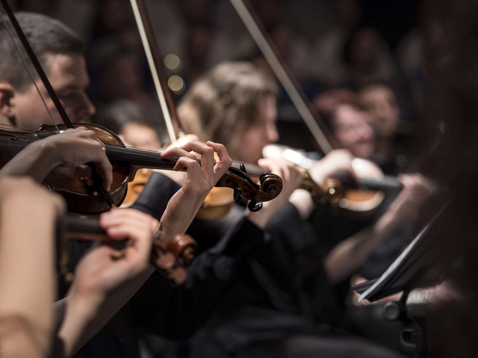 Violinists in black concert dress playing in the string section of an orchestra