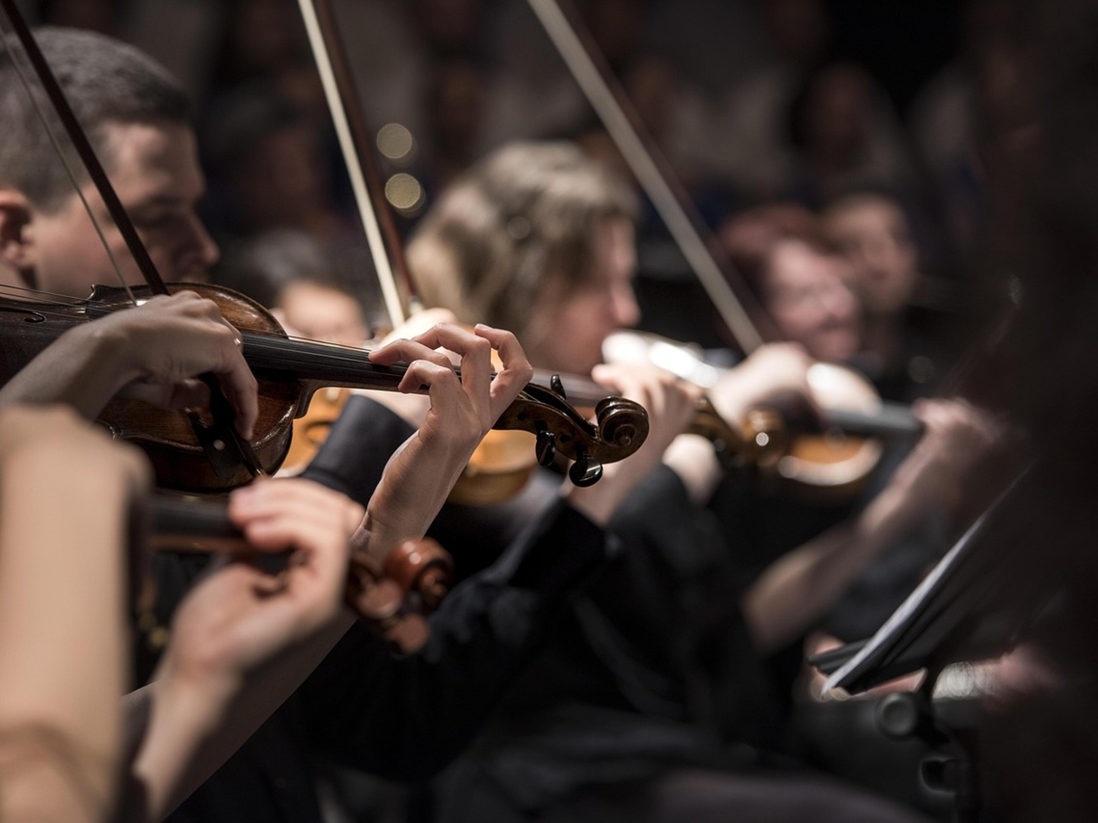 Violinists in black concert dress playing in the string section of an orchestra