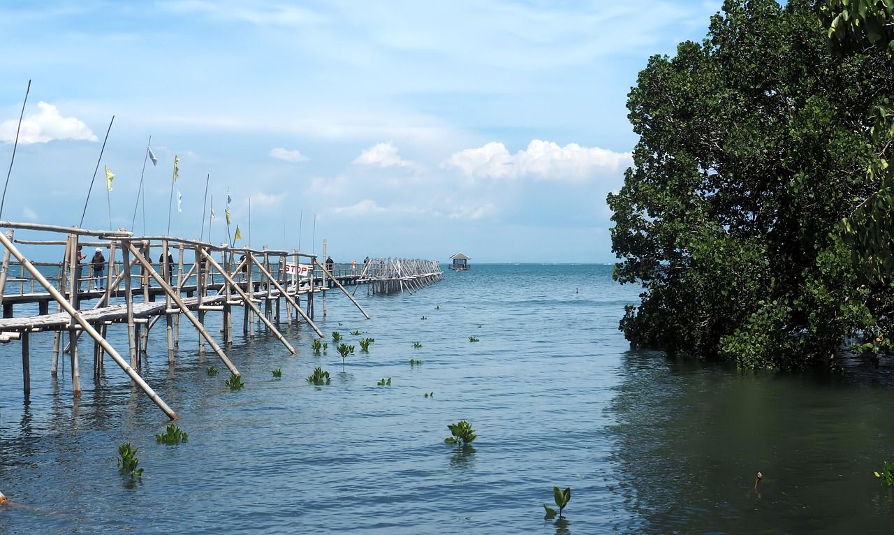 A coastline in the Philippines (Guimaras island, not Pamarawan)