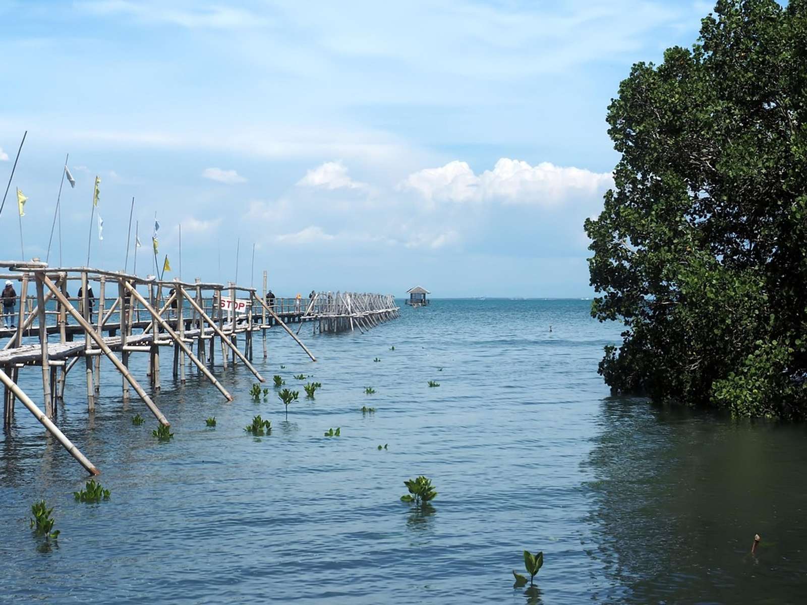 A coastline in the Philippines (Guimaras island, not Pamarawan)