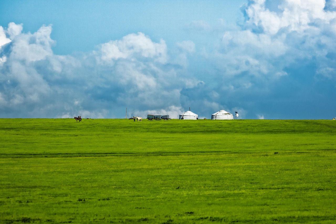 A traditional ger on a green meadow in Mongolia