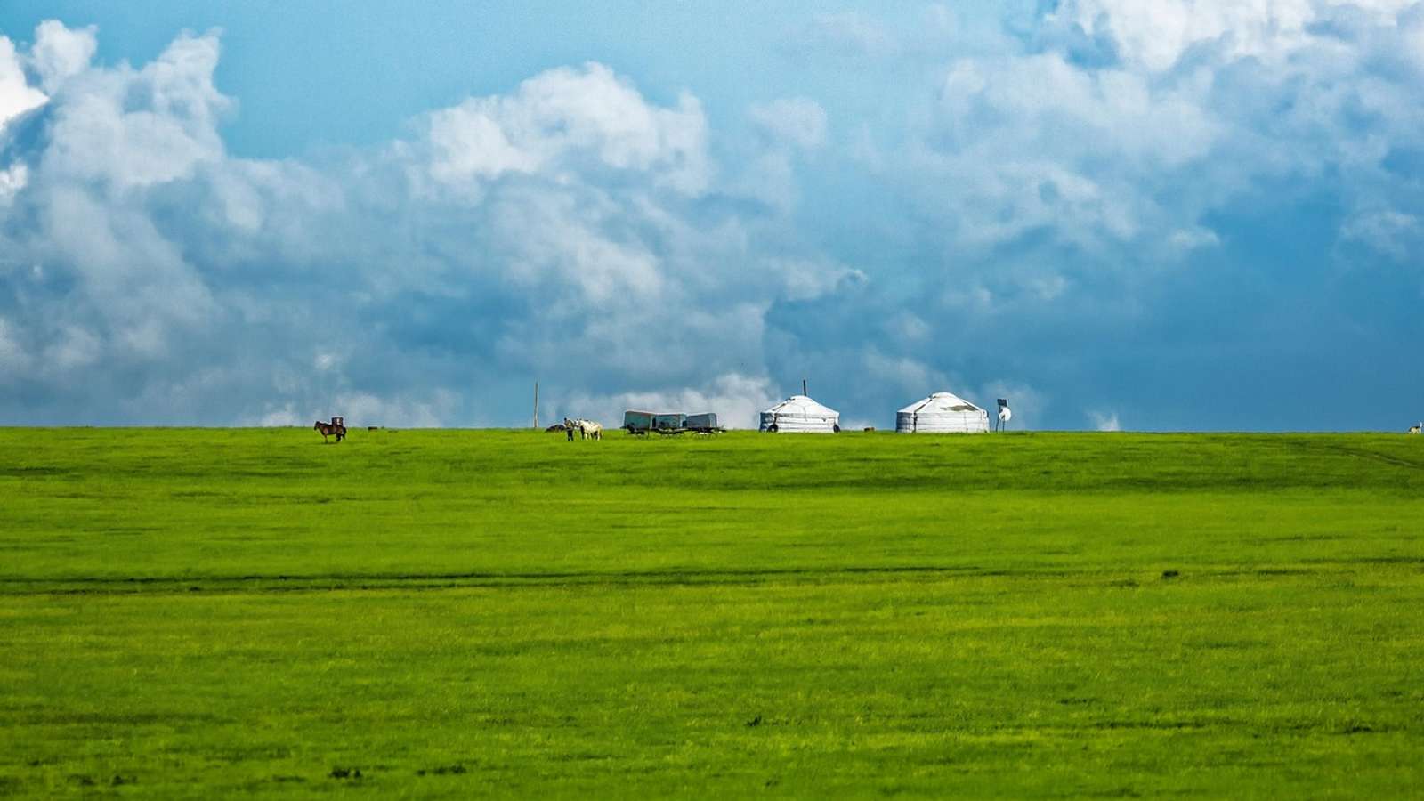 A traditional ger on a green meadow in Mongolia