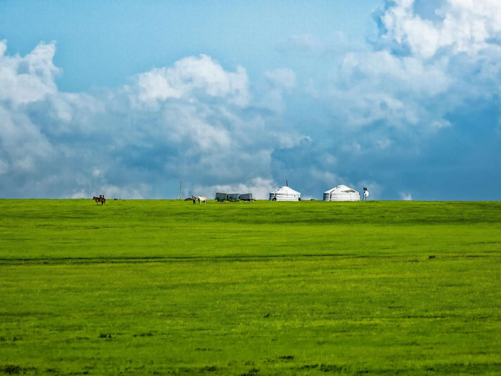A traditional ger on a green meadow in Mongolia