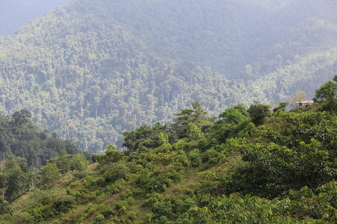 Forested mountain slopes in Colombia's Sierra Nevada de Santa Marta under a partly cloudy sky