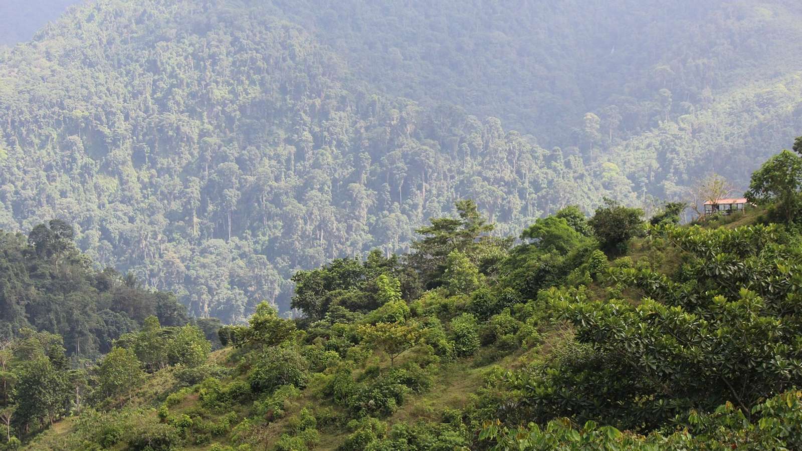 Forested mountain slopes in Colombia's Sierra Nevada de Santa Marta under a partly cloudy sky
