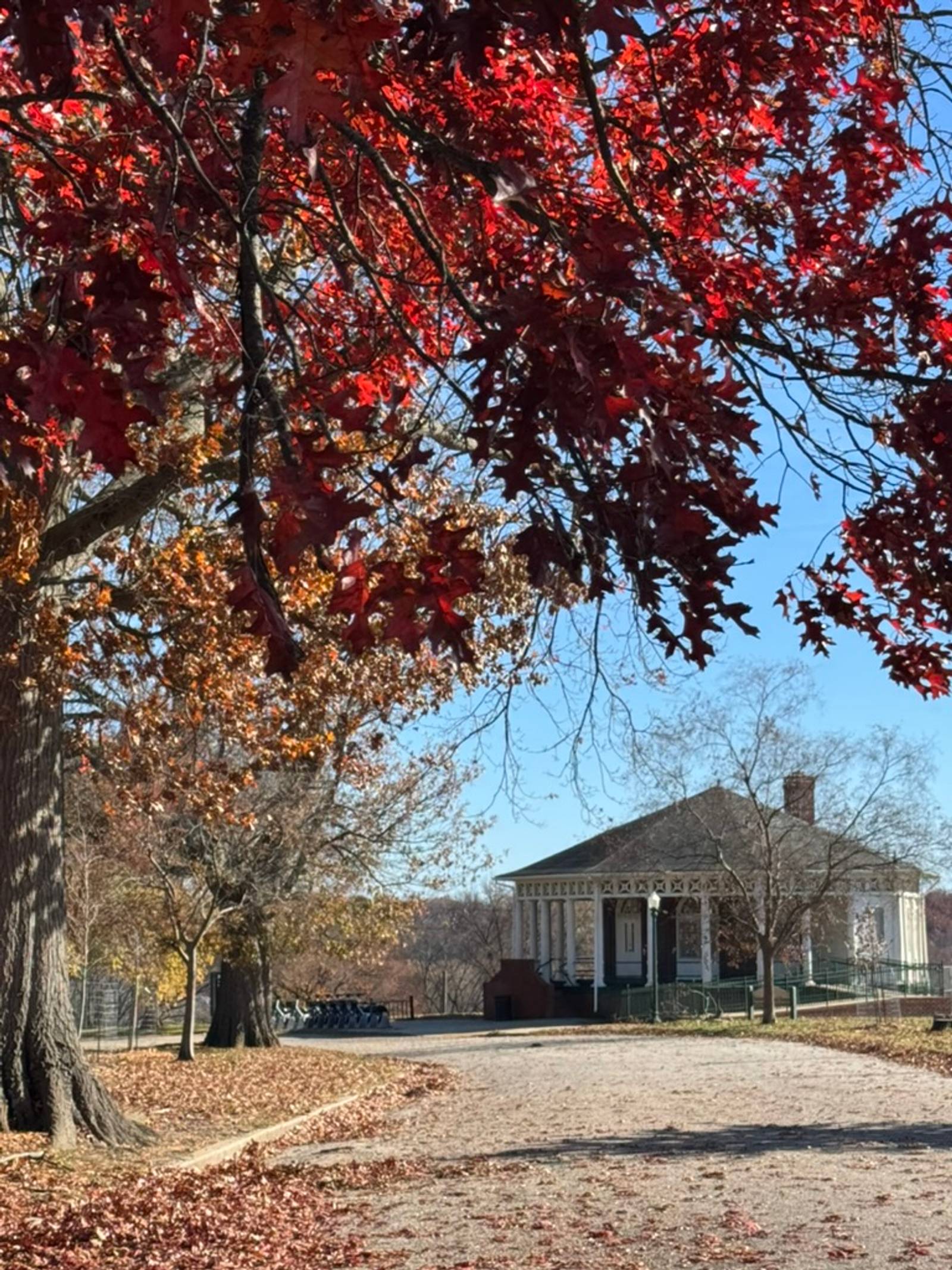 The Chimborazo Park Round House is viewed through vibrant red and golden autumn tree foliage at Chimborazo Park in Richmond, Virginia, with fallen leaves carpeting the ground.