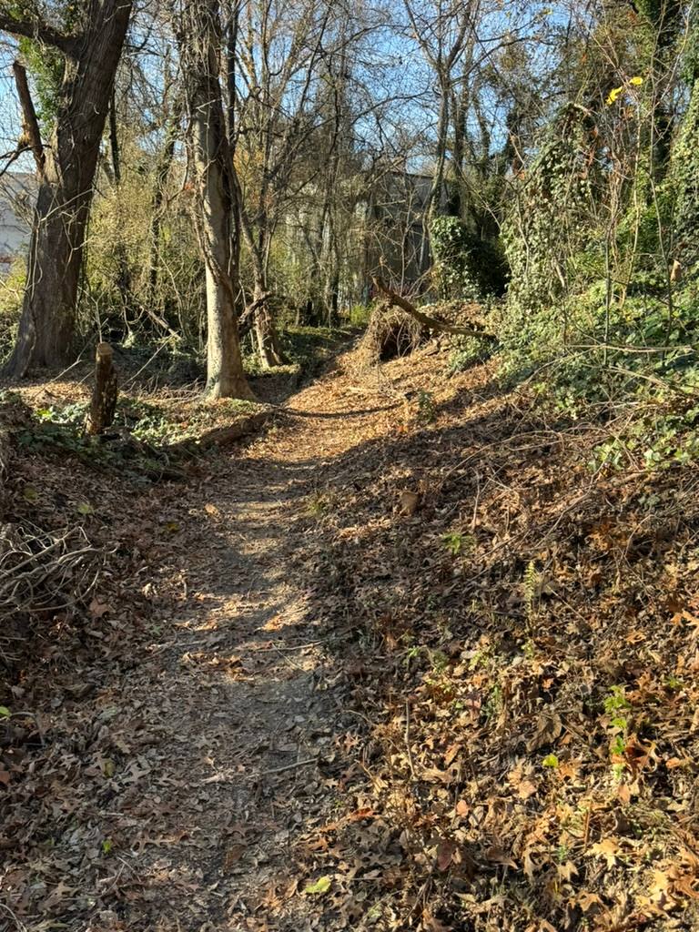 A wooded hiking trail winds through a dense forest in Chimborazo Park, with bare and ivy-covered trees lining both sides of the path covered in fallen leaves and natural debris.