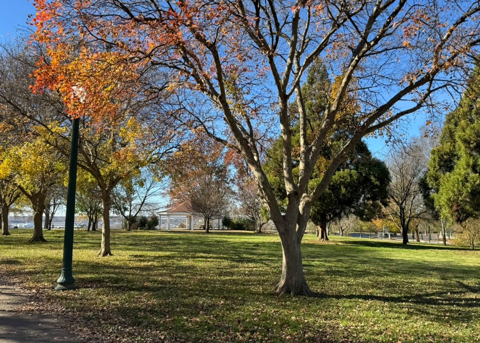 A scenic view of Chimborazo Park in Richmond, Virginia showing mature trees with autumn foliage in shades of orange and gold, a manicured lawn, a gazebo structure in the distance, and evergreen trees lining the pathways under a clear blue sky.