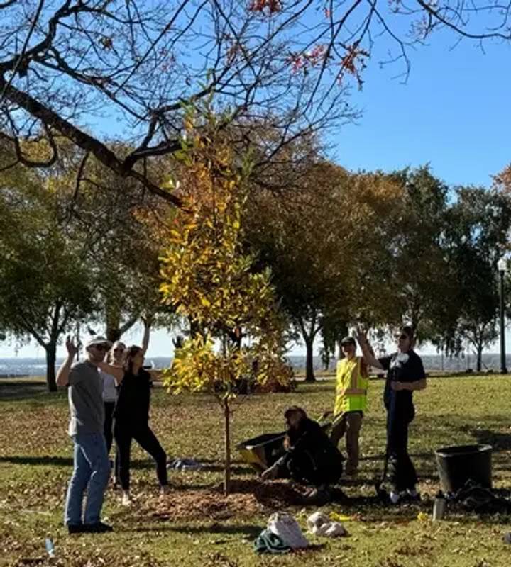 Volunteers planting trees at Chimborazo Park