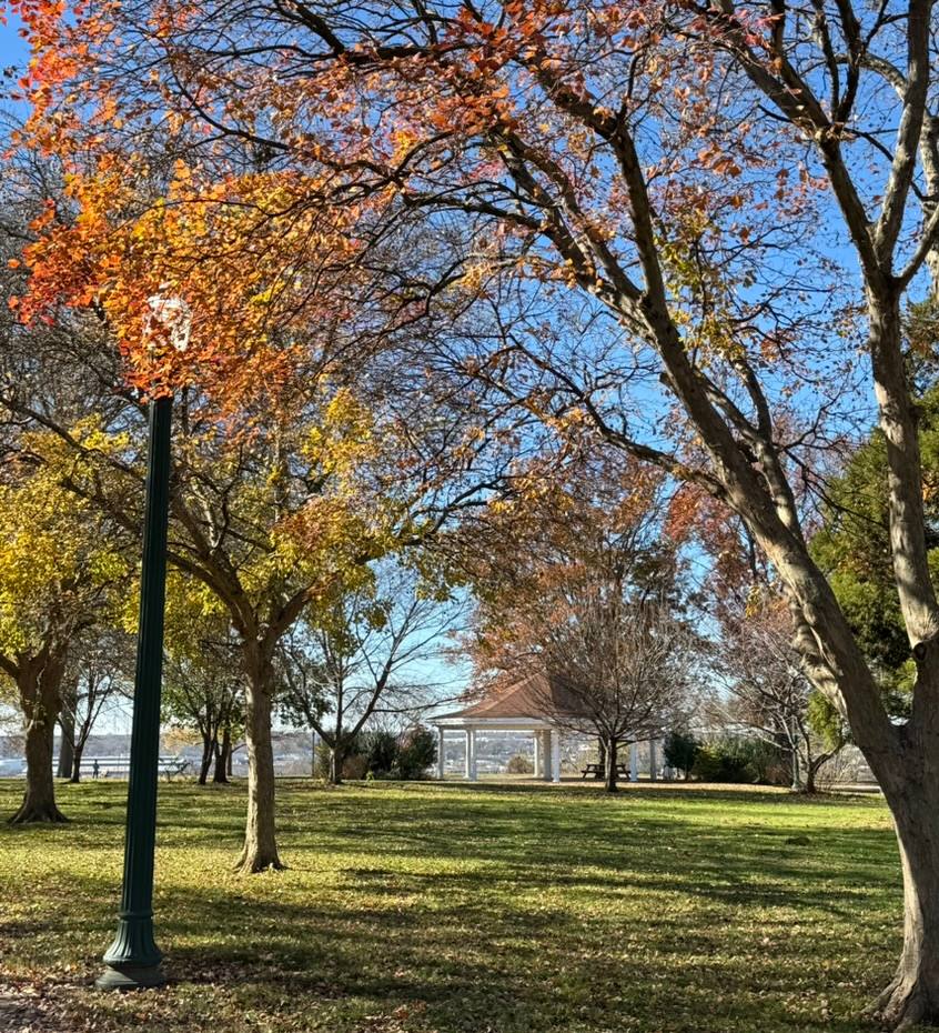 A scenic autumn view of Chimborazo Park showing a tree-lined path with vibrant orange and yellow fall foliage, a green grass lawn, and a brick gazebo structure in the distance overlooking the river.