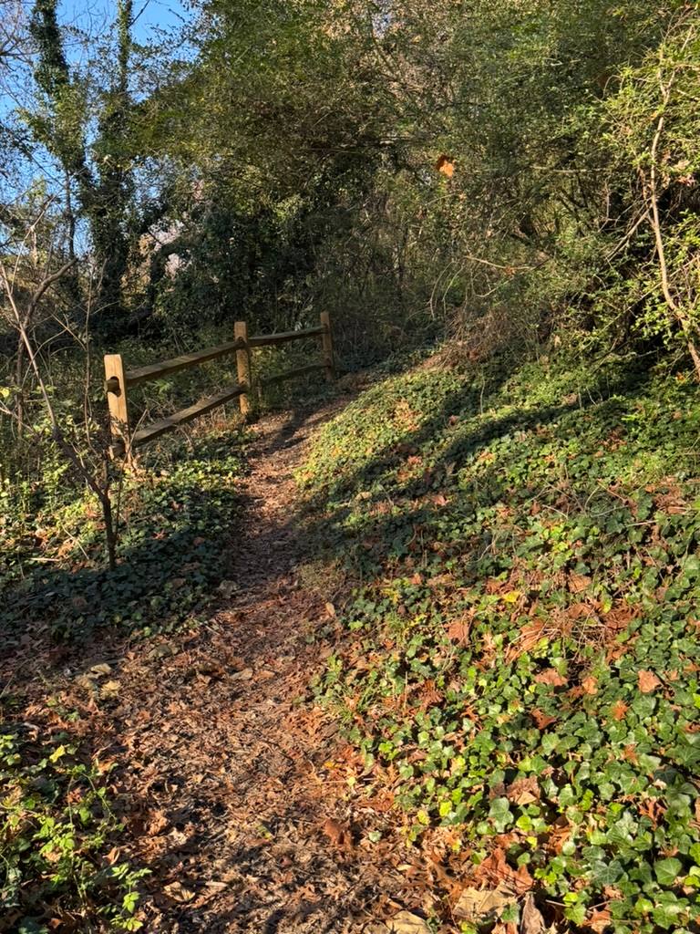 A rustic wooden gate blocks a narrow, overgrown dirt trail in a densely forested area with ivy-covered trees and brown leaf-covered ground.