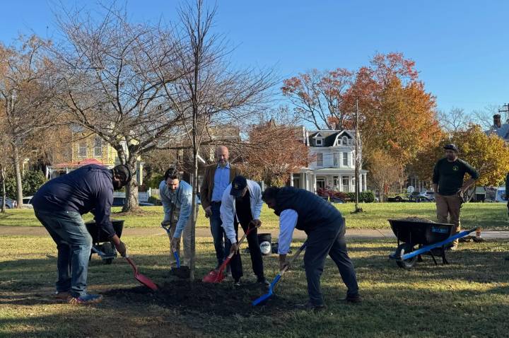 Mayor Avula and city officials plant the first tree at the Chimborazo Park tree planting event