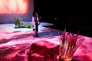 Lyra and the Ferocious Beast - Photo by Chris Ashworth